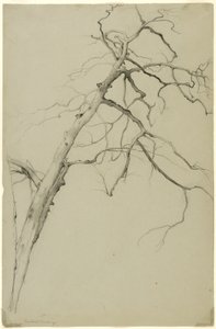 Studie van boomtakken, Fishkill Landing, New York, 1860
